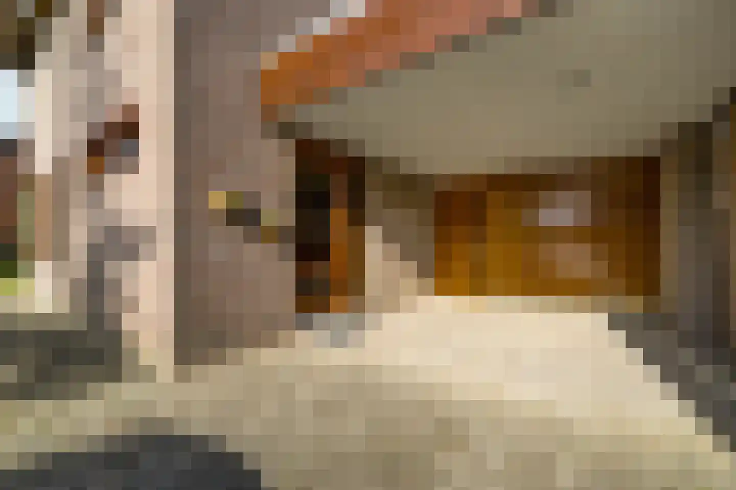 Heufke 5 Roggel thumbnail 9