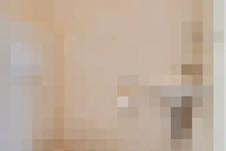 Heufkens 108 Uden thumbnail 11