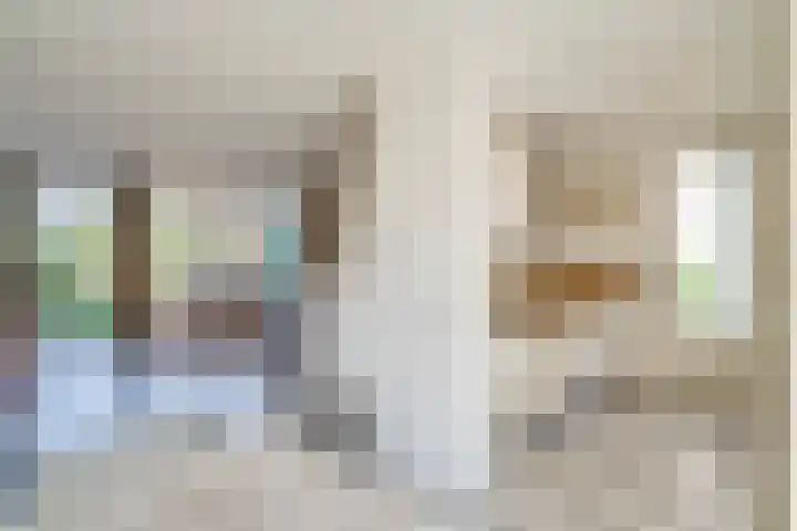 Heufkens 108 Uden thumbnail 15