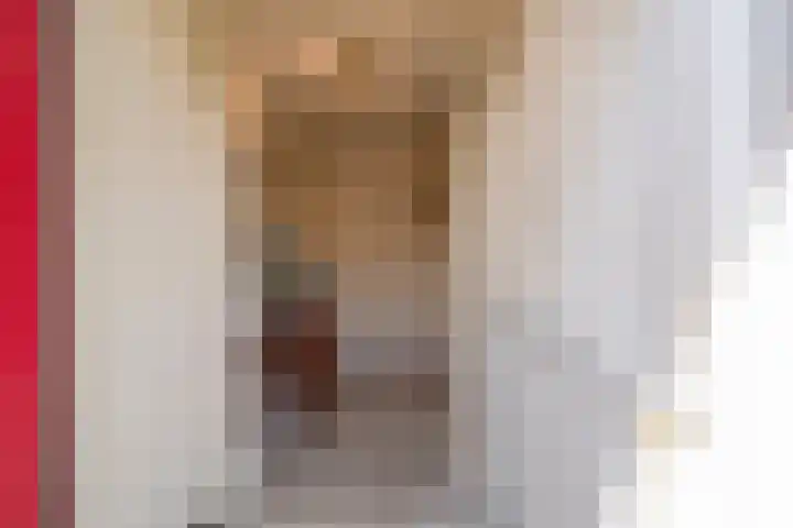 Heufkens 108 Uden thumbnail 17