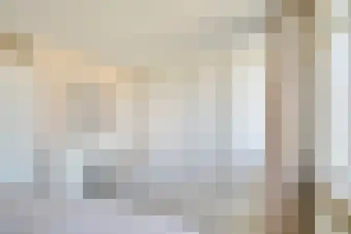 Heufkens 108 Uden thumbnail 20