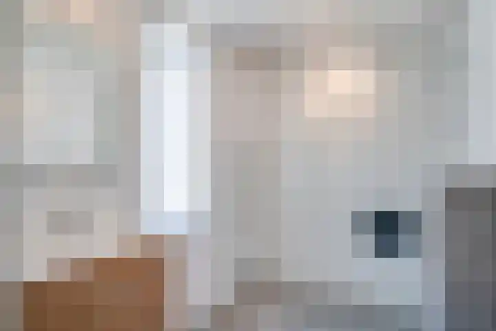 Heufkens 108 Uden thumbnail 23