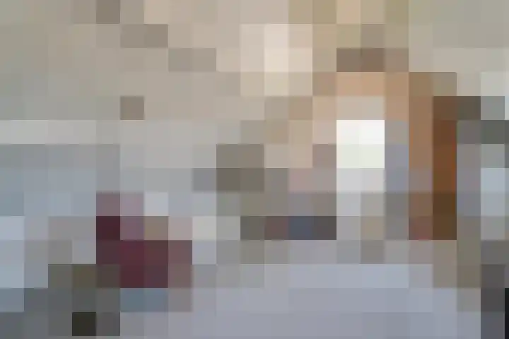 Heufkens 108 Uden thumbnail 26
