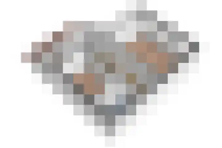 Heufkens 108 Uden thumbnail 34