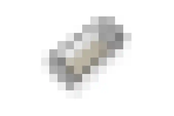 Heufkens 108 Uden thumbnail 40