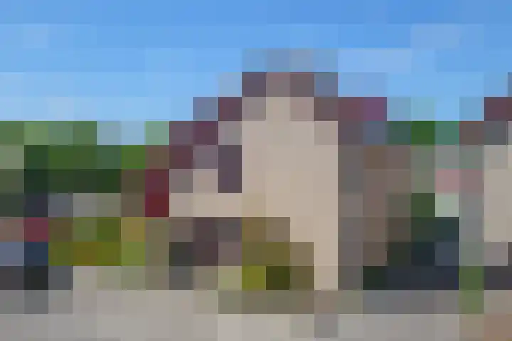 Heufkens 108 Uden thumbnail 41