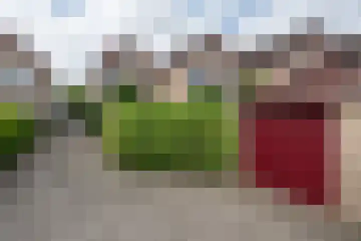 Heufkens 108 Uden thumbnail 5