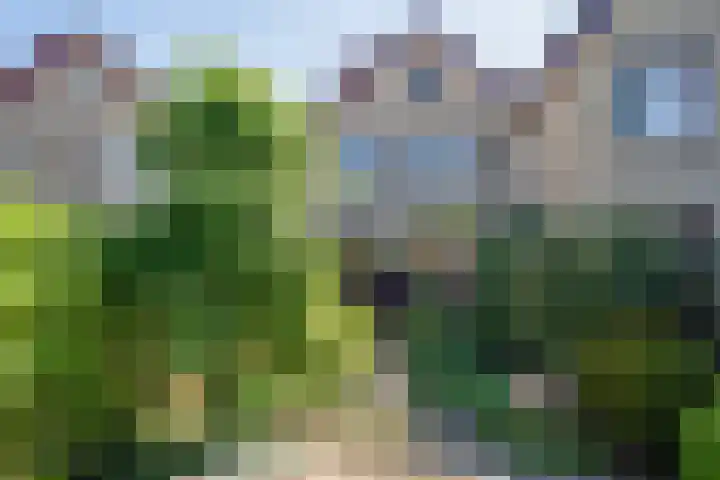 Heufkens 108 Uden thumbnail 6