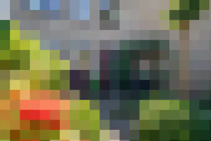 Heufkens 108 Uden thumbnail 7