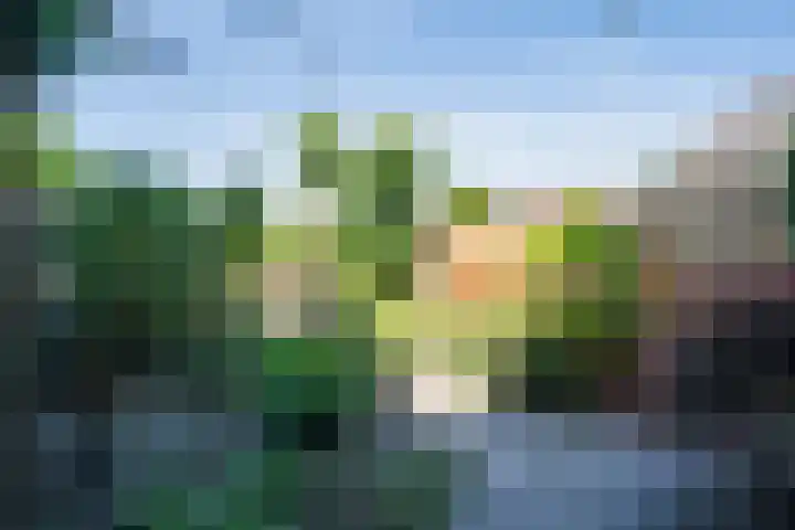 Heufkens 108 Uden thumbnail 8