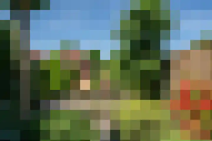 Heufkens 108 Uden thumbnail 9