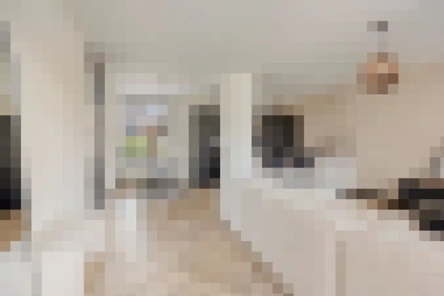 Heufkens 116 Uden thumbnail 12