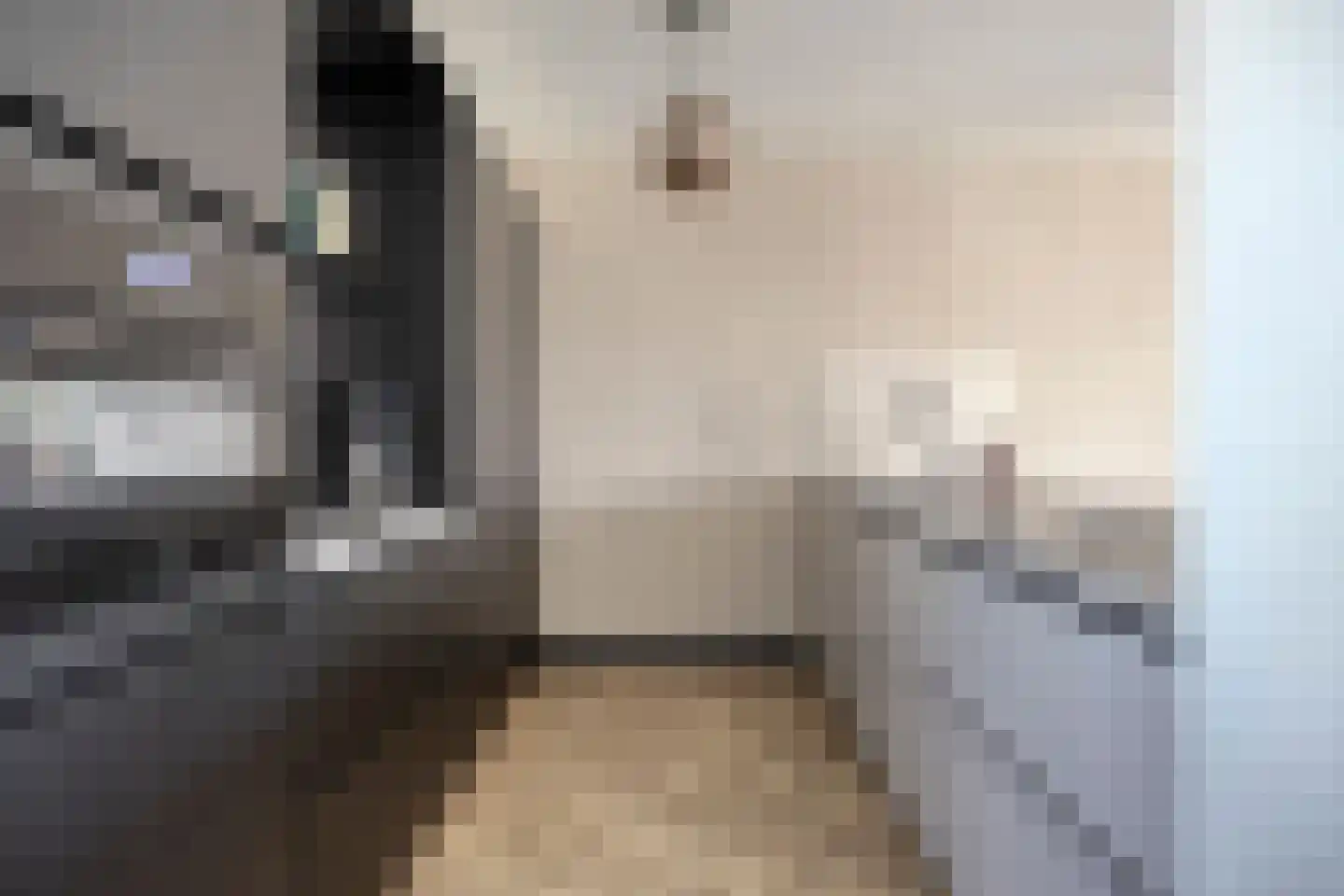 Heufkens 116 Uden thumbnail 18