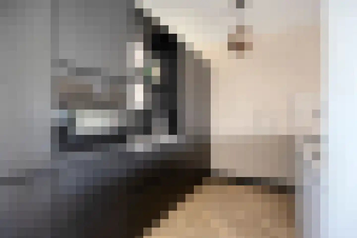 Heufkens 116 Uden thumbnail 23