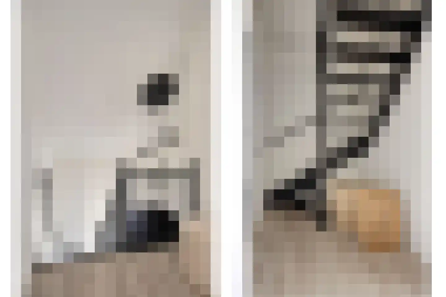 Heufkens 116 Uden thumbnail 25