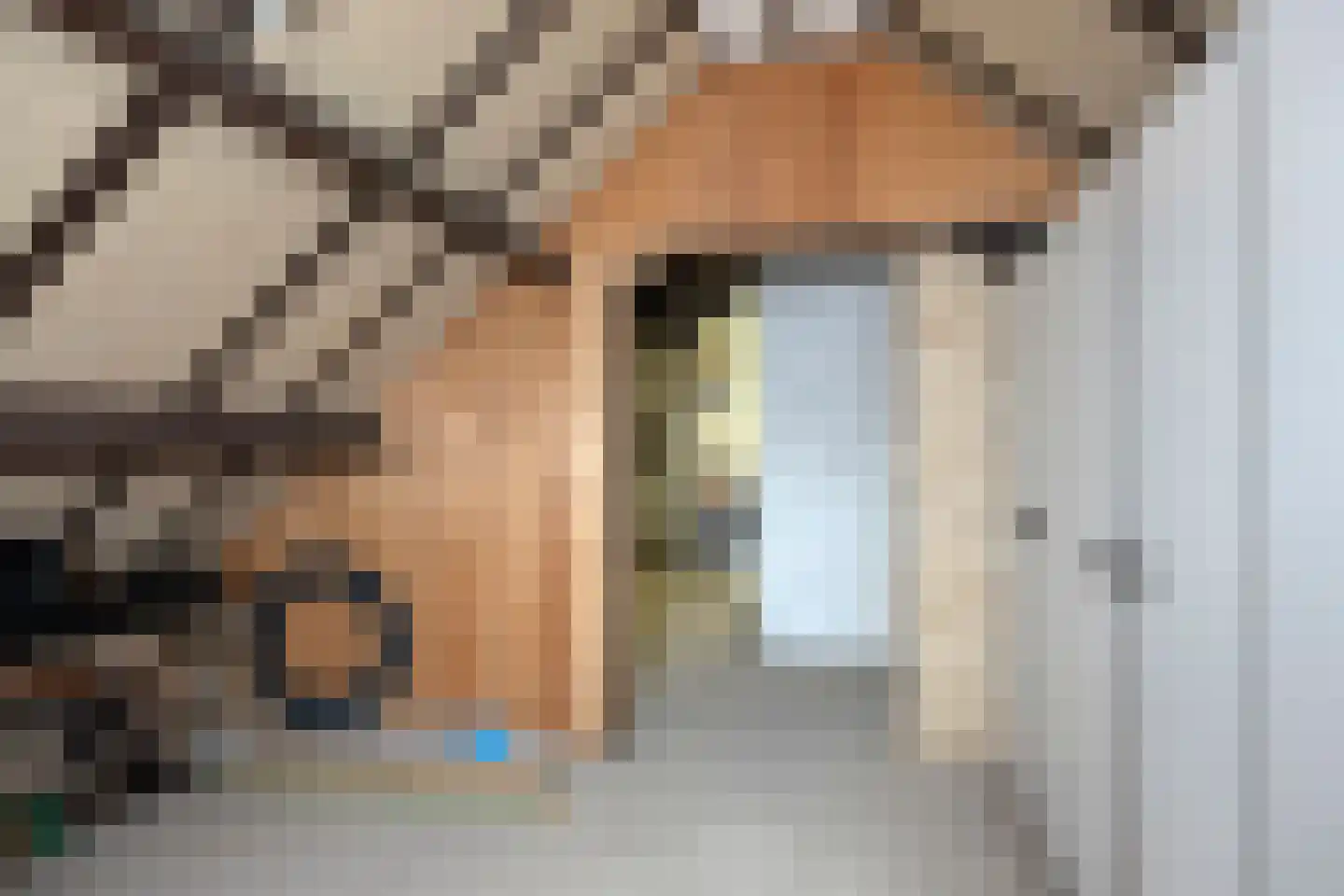 Heufkens 116 Uden thumbnail 37