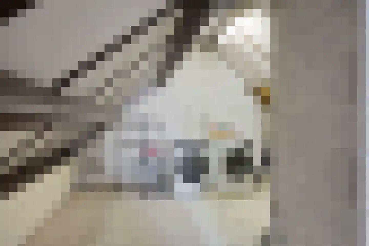 Heufkens 116 Uden thumbnail 38