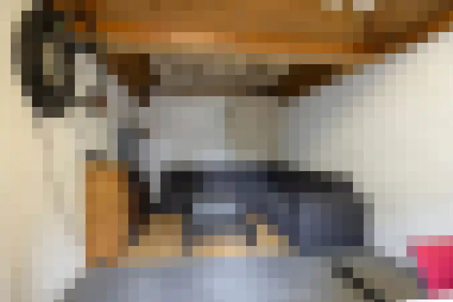 Heufkens 116 Uden thumbnail 44