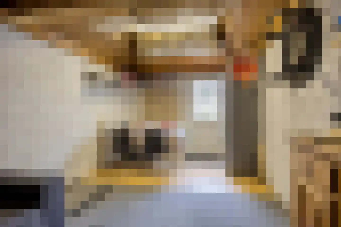 Heufkens 116 Uden thumbnail 45