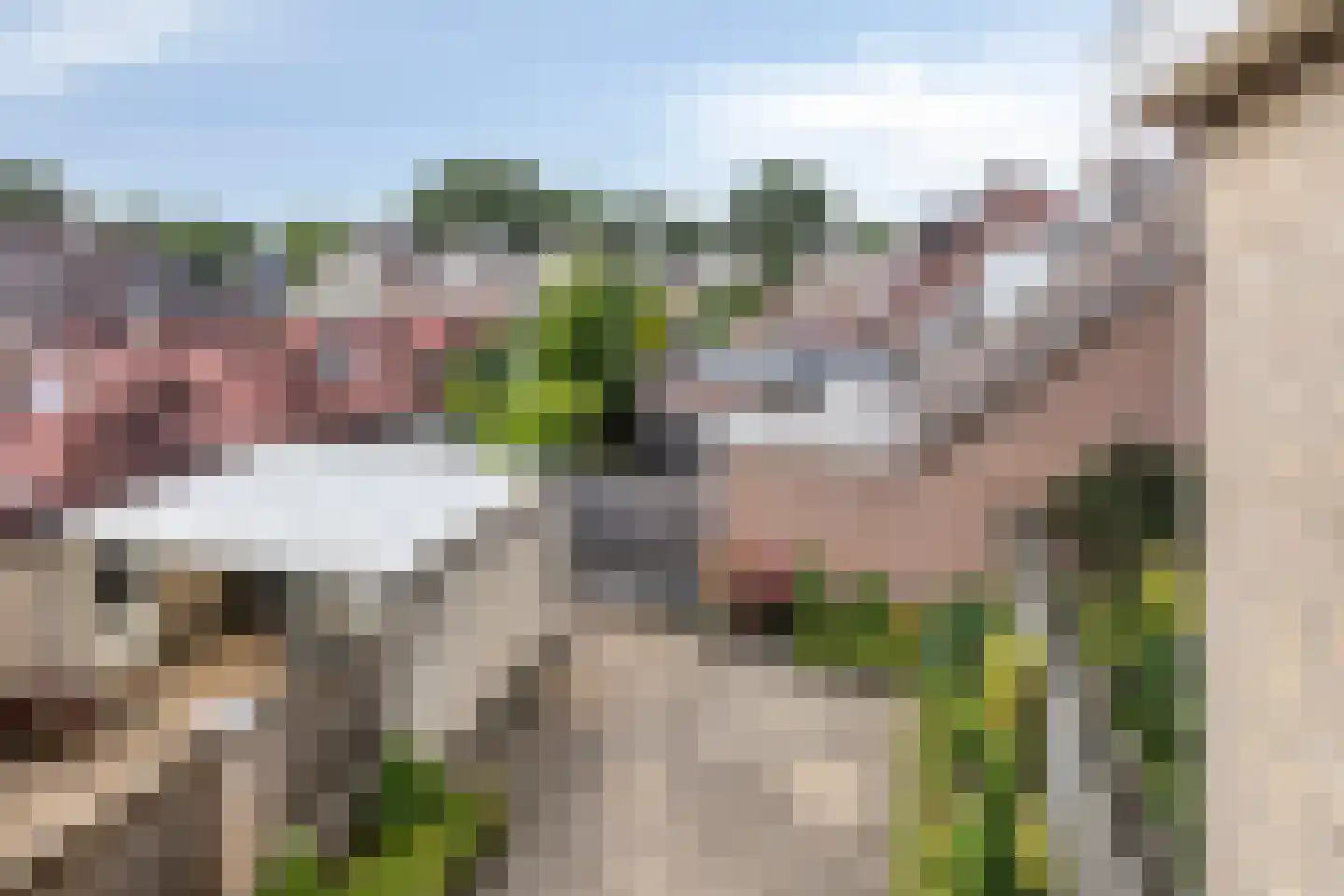 Heufkens 116 Uden thumbnail 47