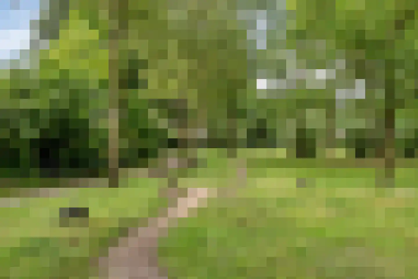 Heufkens 116 Uden thumbnail 52