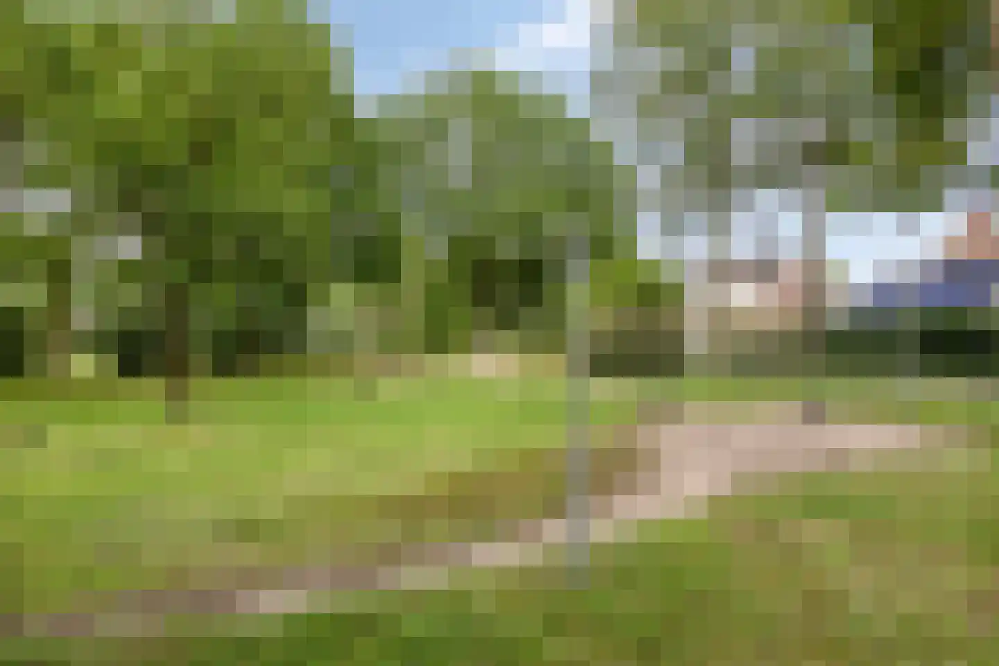 Heufkens 116 Uden thumbnail 53