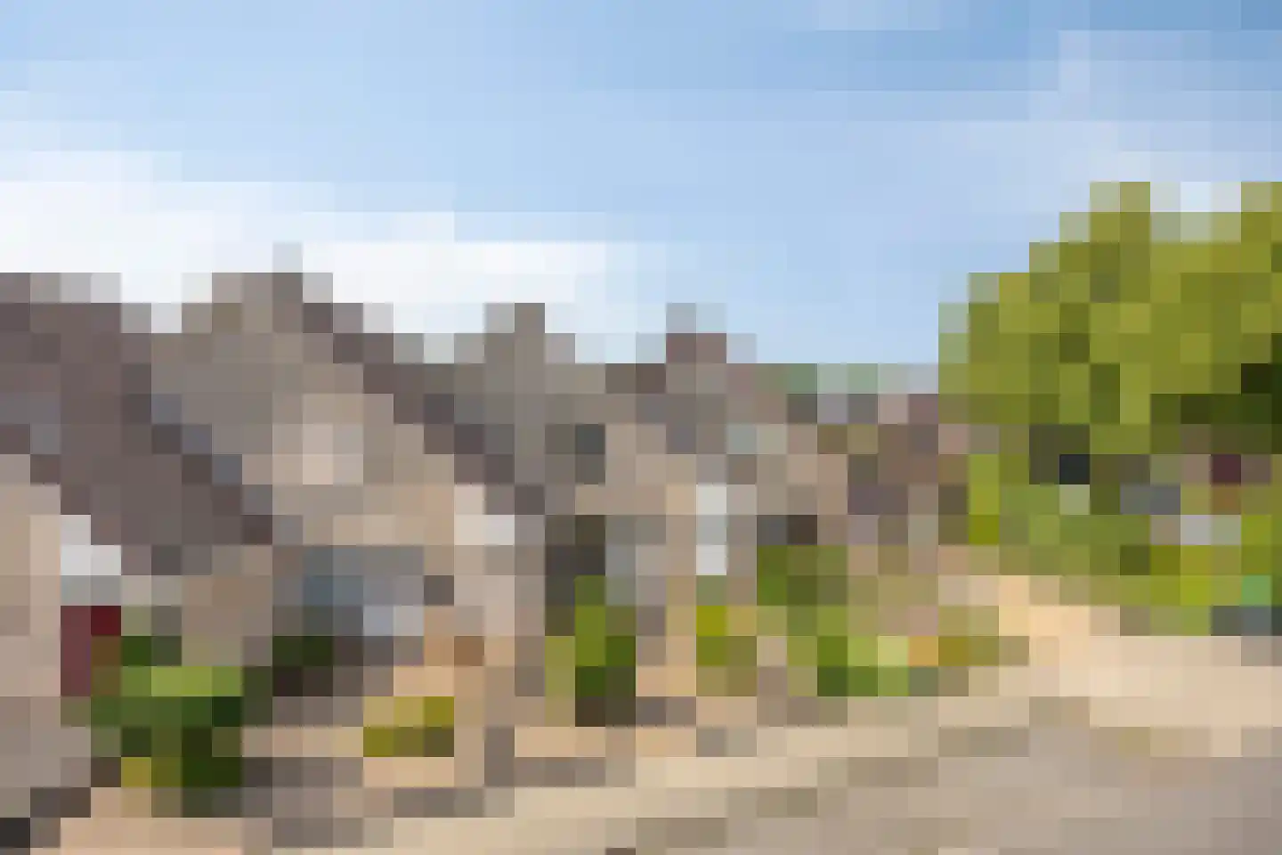 Heufkens 116 Uden thumbnail 8