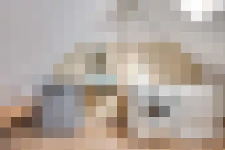 Heufkens 307 Uden thumbnail 22