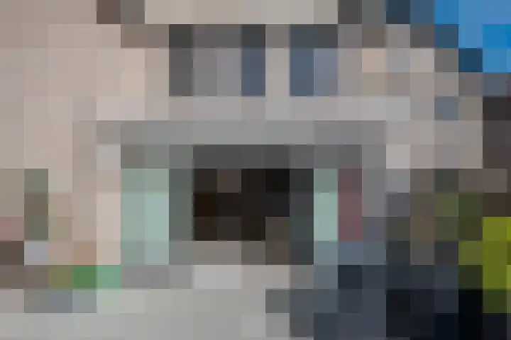 Heufkens 307 Uden thumbnail 24