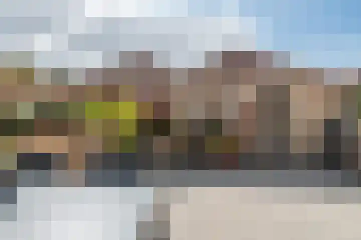 Heufkens 307 Uden thumbnail 26