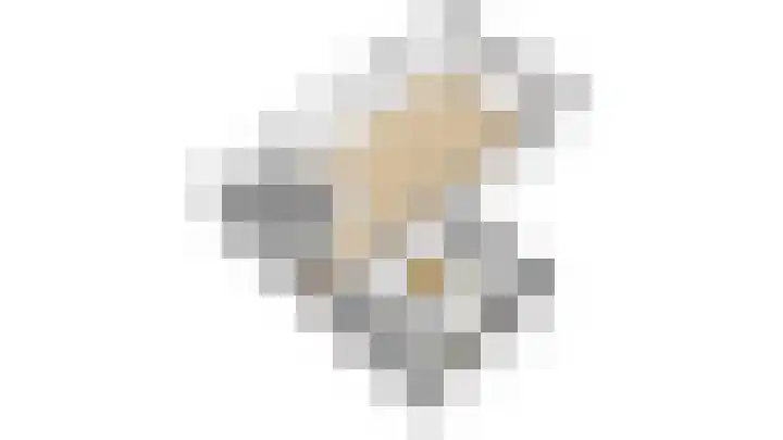 Heufkens 307 Uden thumbnail 32
