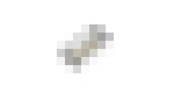 Heufkens 307 Uden thumbnail 40