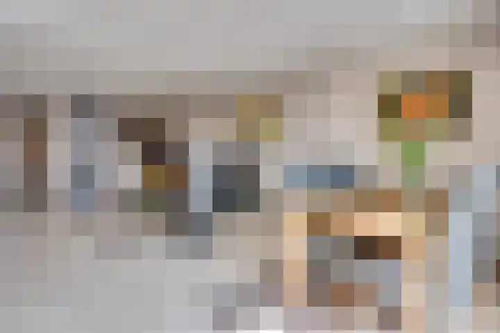 Heufkens 307 Uden thumbnail 9