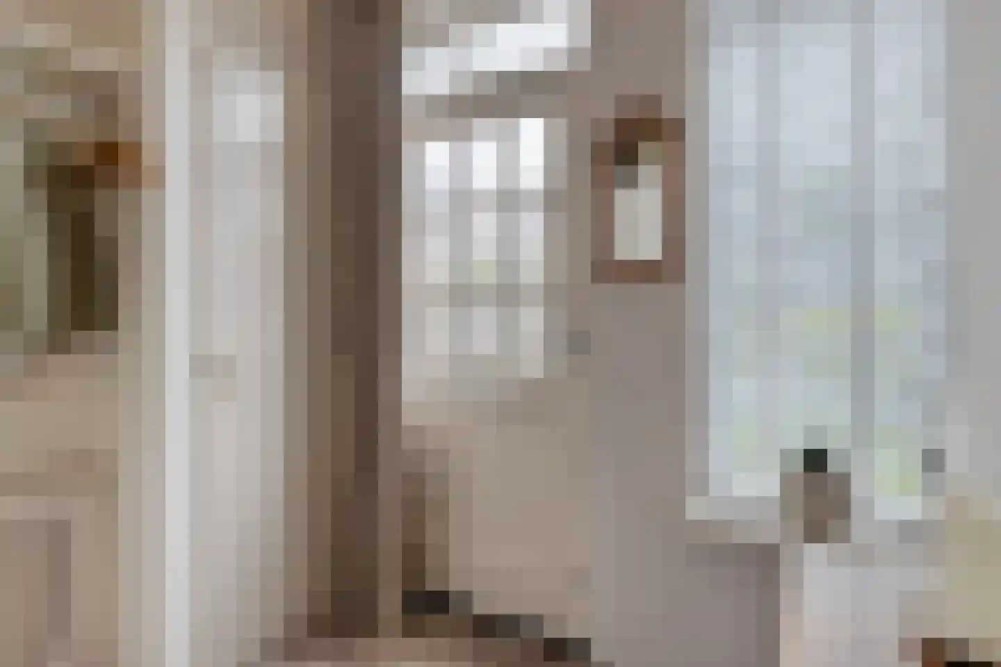 Heufkens 312 Uden thumbnail 17