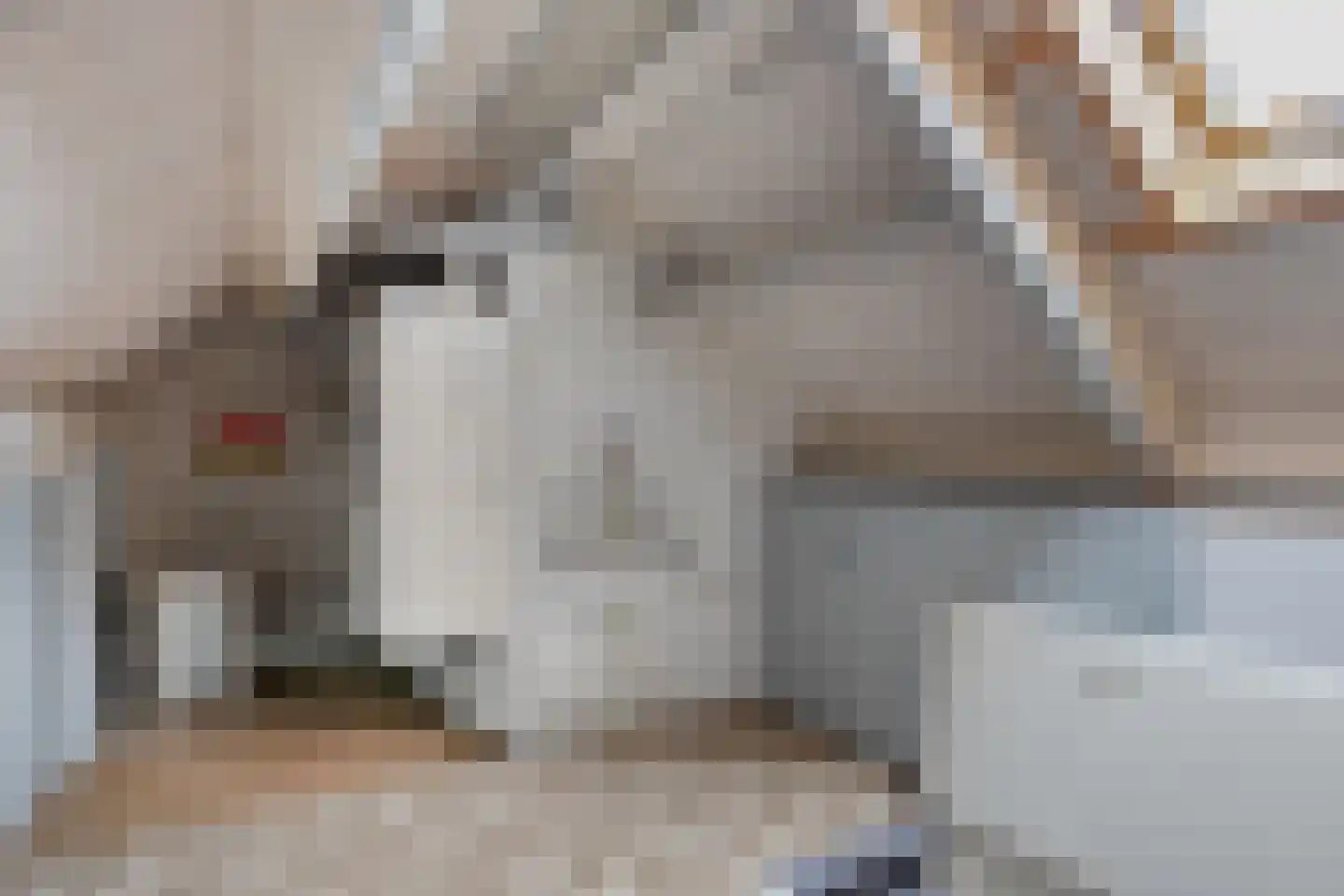 Heufkens 312 Uden thumbnail 27