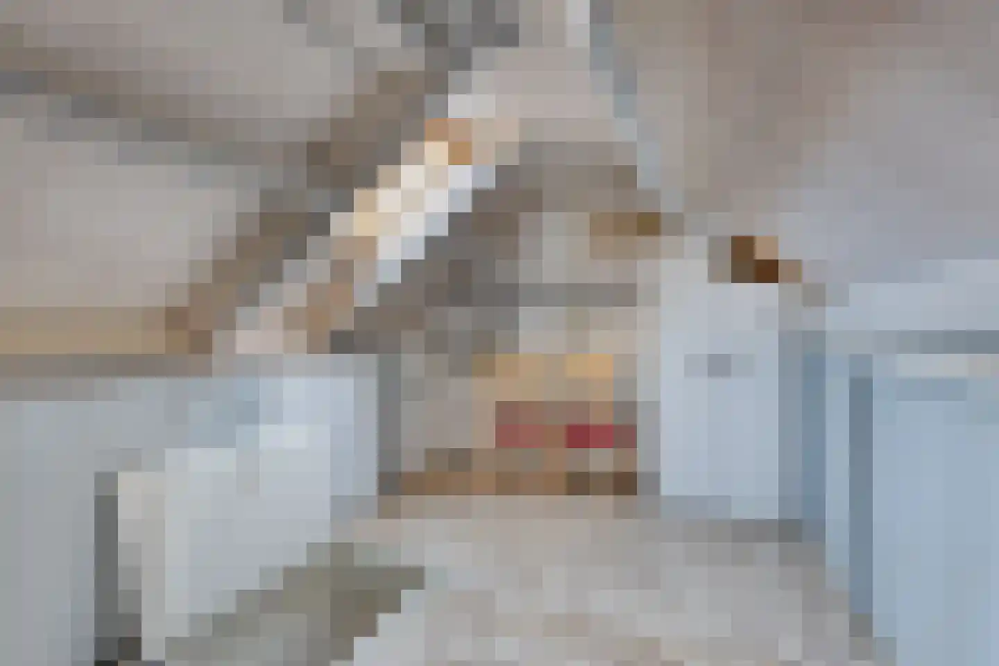 Heufkens 312 Uden thumbnail 28