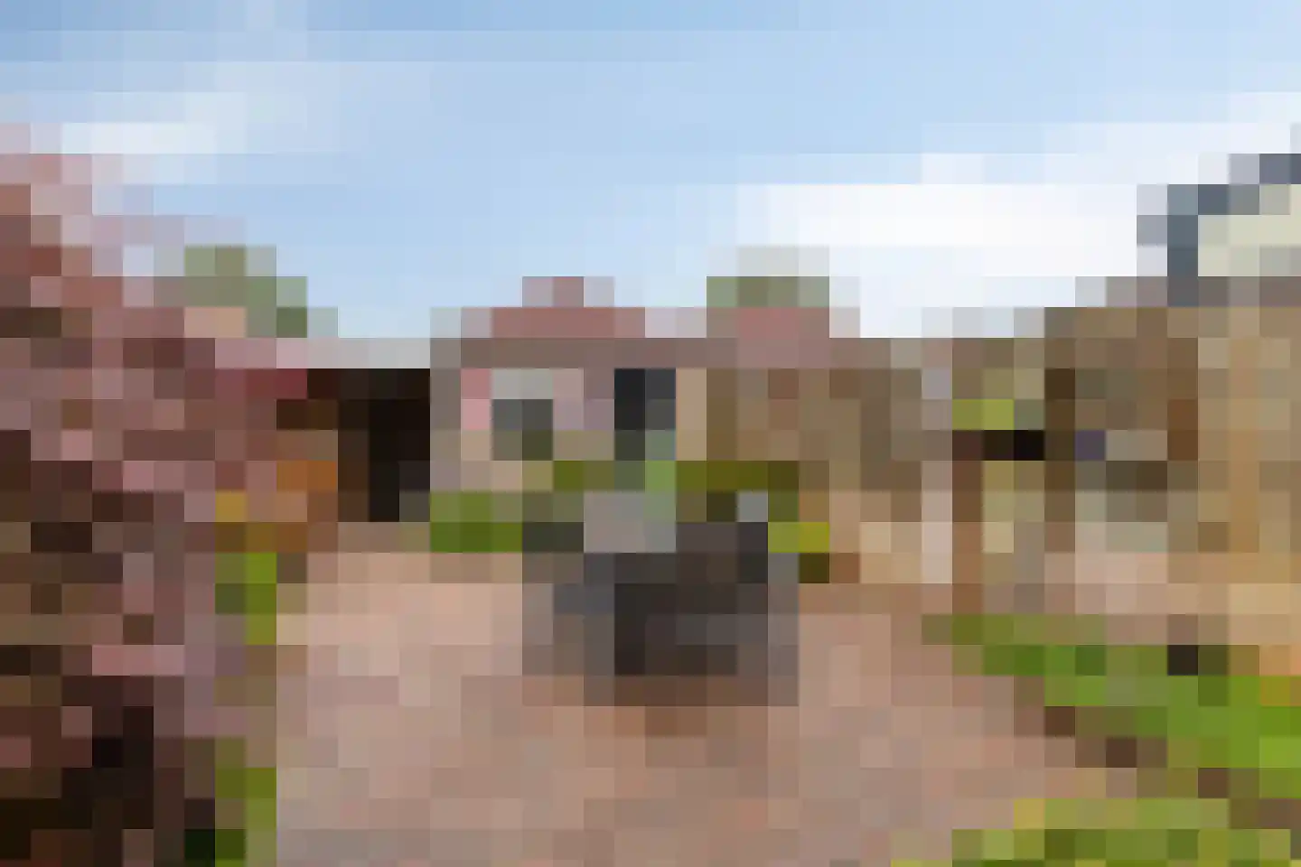 Heufkens 312 Uden thumbnail 29
