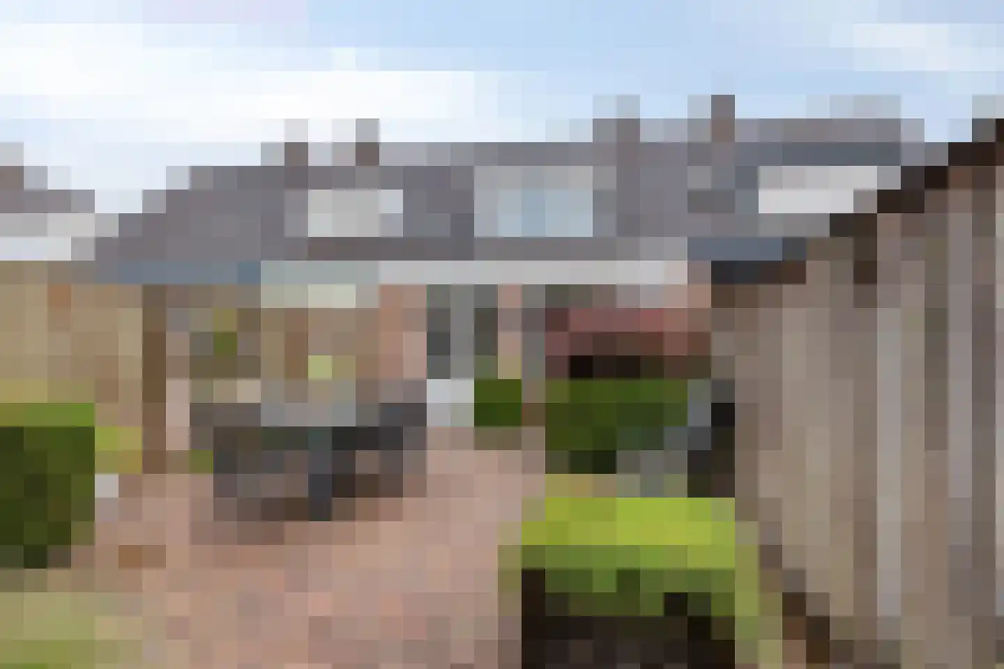 Heufkens 312 Uden thumbnail 30