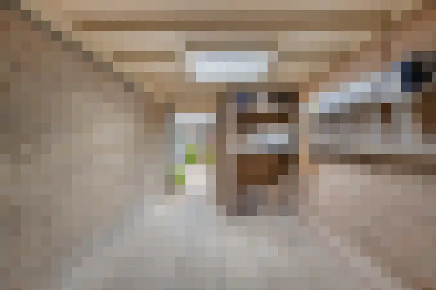 Heufkens 312 Uden thumbnail 36