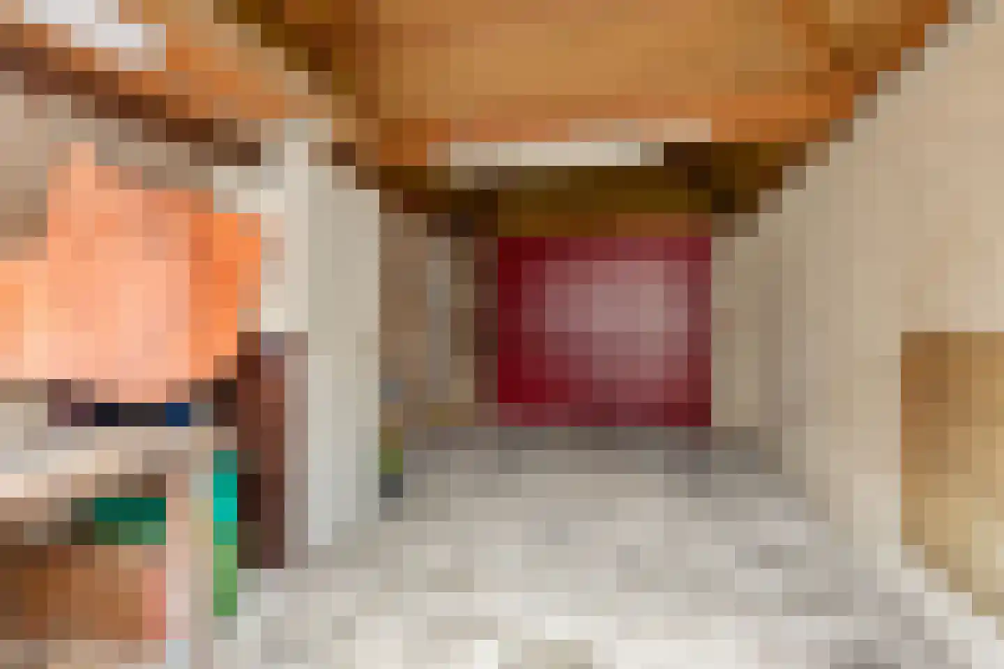 Heufkens 312 Uden thumbnail 37