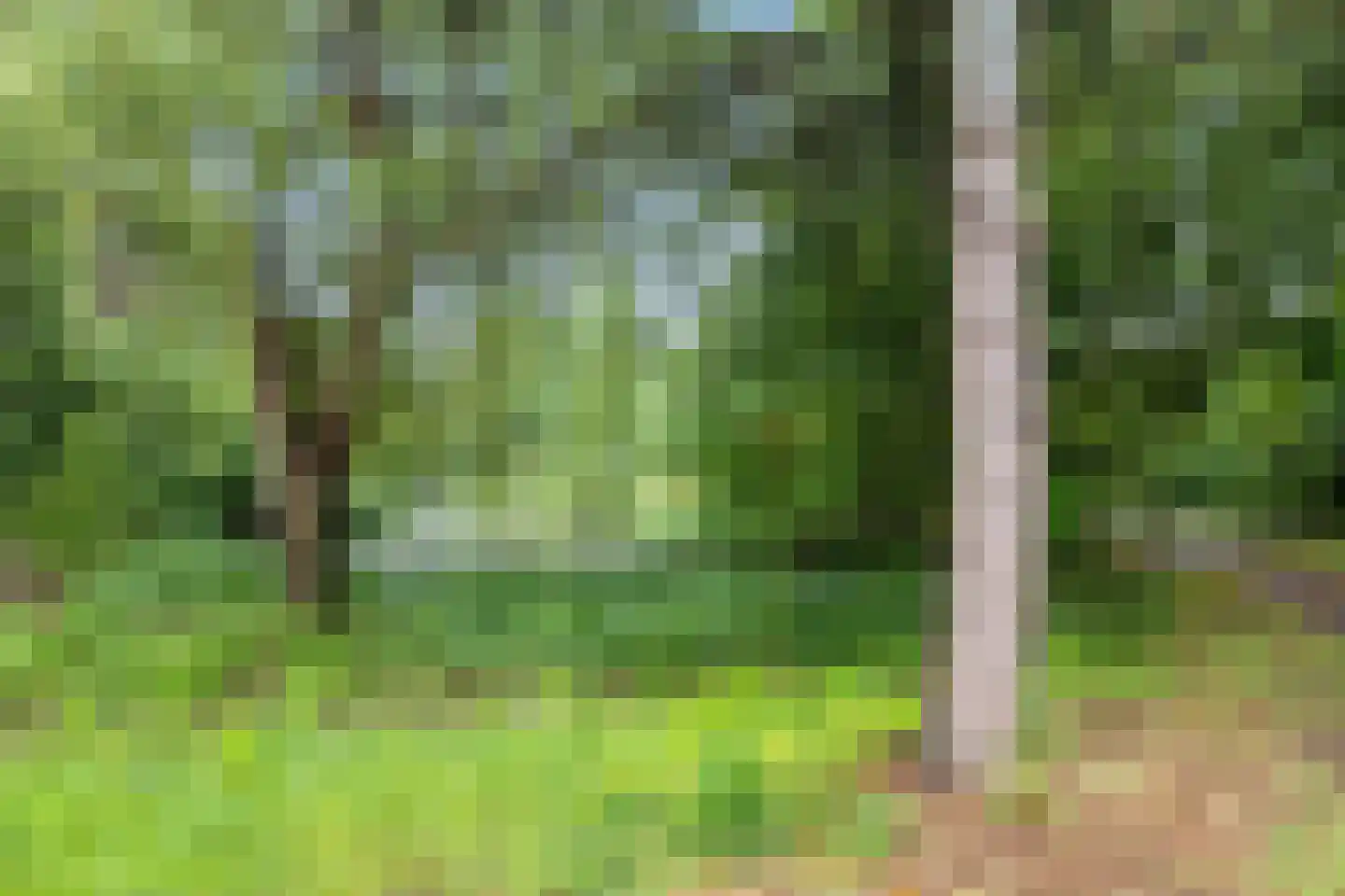 Heufkens 312 Uden thumbnail 43