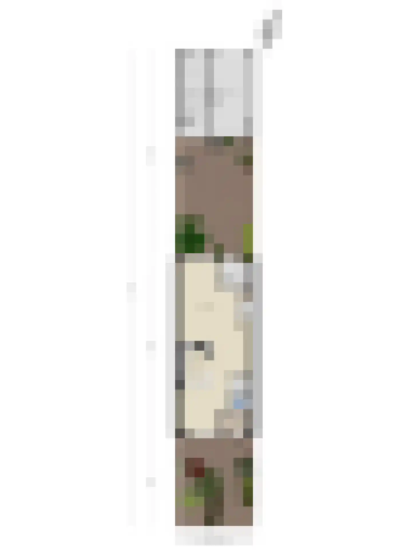Heufkens 312 Uden thumbnail 44