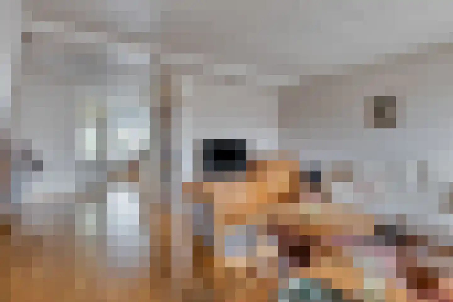 Heufkens 312 Uden thumbnail 5