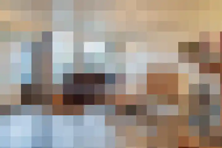 Heufkens 313 Uden thumbnail 11