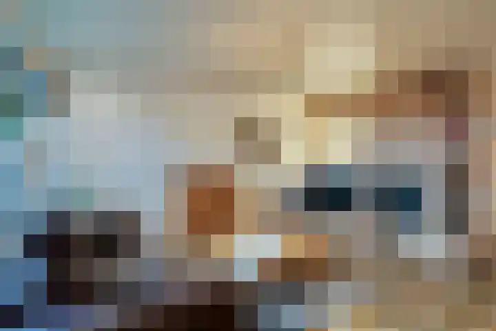 Heufkens 313 Uden thumbnail 13