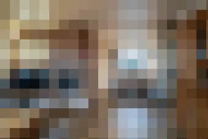 Heufkens 313 Uden thumbnail 14
