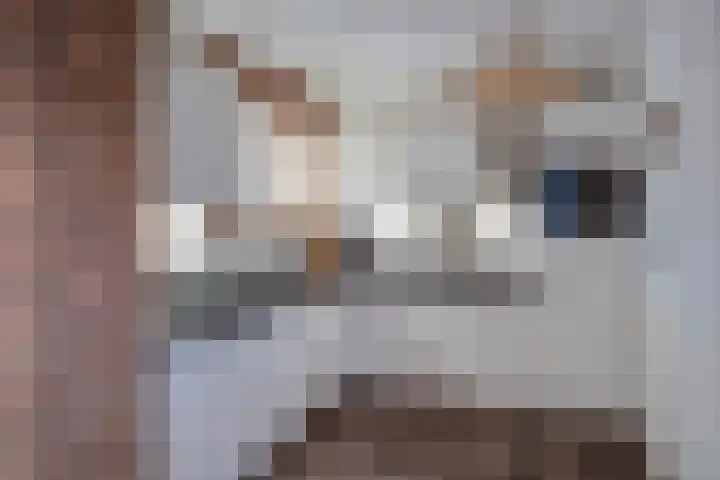 Heufkens 313 Uden thumbnail 15
