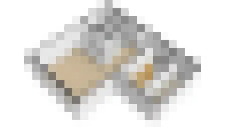 Heufkens 313 Uden thumbnail 15