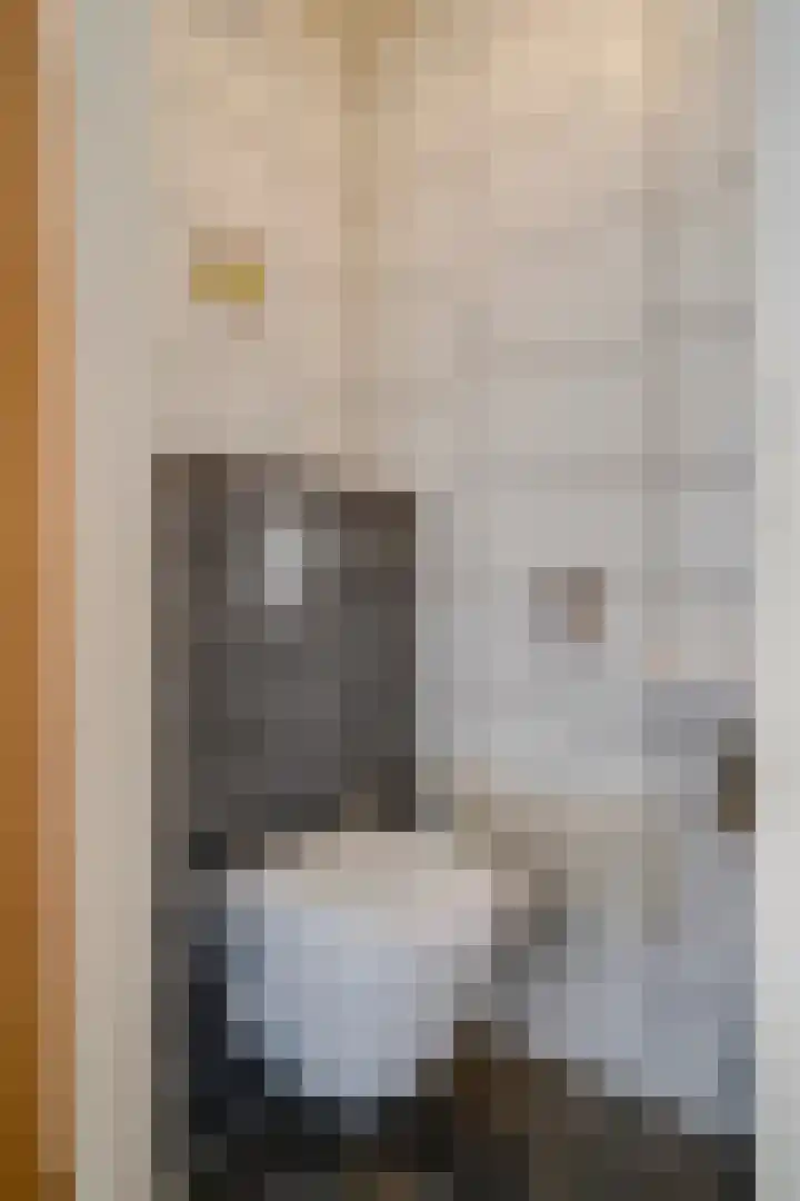 Heufkens 313 Uden thumbnail 16