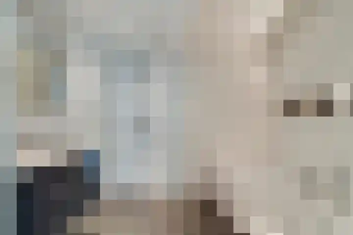 Heufkens 313 Uden thumbnail 17